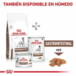 Royal Canin Nourriture Gastro-intestinal 25 Canine -Miscota Soldes Boutique MIX FEEDING 62fcc15bbe922 g