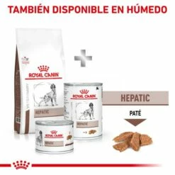 Royal Canin Nourriture Hepatic HF16 Canine 15 Royal Canin Nourriture Hepatic HF16 Canine -Miscota Soldes Boutique MIX FEEDING 62fcc18374a26 g