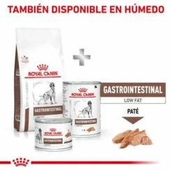 Royal Canin Nourriture Gastro-intestinal Low Fat 22 Canine 15 Royal Canin Nourriture Gastro-intestinal Low Fat 22 Canine -Miscota Soldes Boutique MIX FEEDING 62fcc1d6abdc9 g