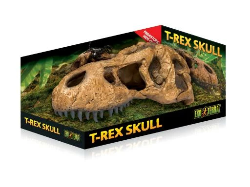Exo Terra Grotte T-Rex Skull 3 Exo Terra Grotte T-Rex Skull