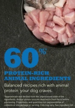 Acana Adult Dog (Chicken & Greens) -Miscota Soldes Boutique NS ACANA Dog Ingredients ADULT DOG 556x800 630f02c39f2da g