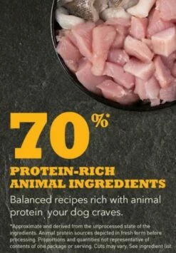 Acana Puppy And Junior -Miscota Soldes Boutique NS ACANA Dog Ingredients PUPPY 556x800 630f03e7bdb5b g