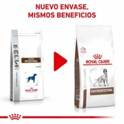 Royal Canin Nourriture Gastro-intestinal 25 Canine -Miscota Soldes Boutique NUEVA IMAGEN 62fcc1560df28 g