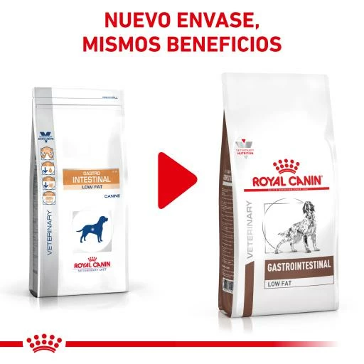 Royal Canin Nourriture Gastro-intestinal Low Fat 22 Canine 5 Royal Canin Nourriture Gastro-intestinal Low Fat 22 Canine – Image 3