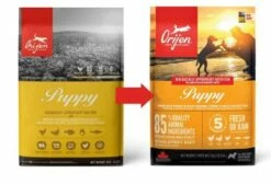 Orijen Puppy -Miscota Soldes Boutique Or PuppyFrontal 628fc531b2e1e g