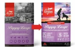 Orijen Dry Puppy Large -Miscota Soldes Boutique OrPuppyLfrente 628fc18221cad g