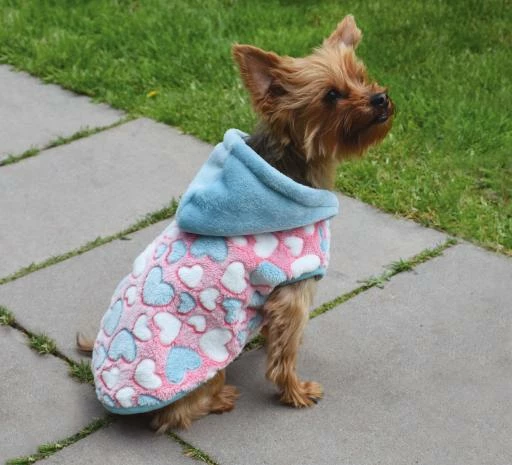 Nayeco Sweat-shirt à Capuche Lollipop 4 Nayeco Sweat-shirt à Capuche Lollipop – Image 2