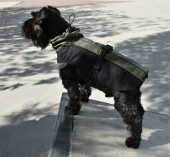 Nayeco Imperméable De Randonnée Vert -Miscota Soldes Boutique PE53004 14 B 63202b5f8a583 g