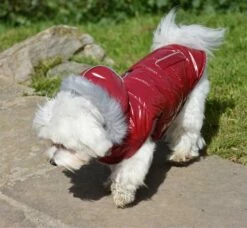 Nayeco Veste à Capuche En étain Rouge 6 Nayeco Veste à Capuche En étain Rouge -Miscota Soldes Boutique PE53078 84 B 63202ac9a0507 g