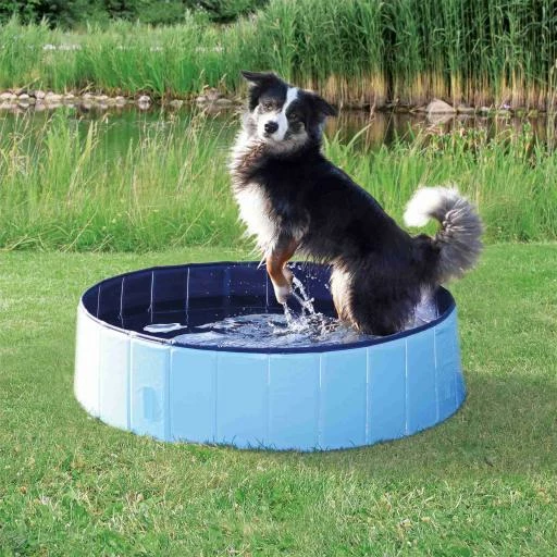 Trixie Piscine Pour Chiens 3 Trixie Piscine Pour Chiens