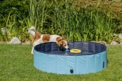 Trixie Piscine Pour Chiens 11 Trixie Piscine Pour Chiens -Miscota Soldes Boutique PHO PRO DOG 39480 39481 39482 39483 5 g