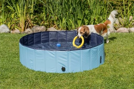 Trixie Piscine Pour Chiens 6 Trixie Piscine Pour Chiens – Image 4