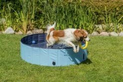 Trixie Piscine Pour Chiens 13 Trixie Piscine Pour Chiens -Miscota Soldes Boutique PHO PRO DOG 39480 39481 39482 39483 7 g