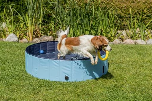Trixie Piscine Pour Chiens 7 Trixie Piscine Pour Chiens – Image 5