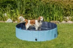 Trixie Piscine Pour Chiens 14 Trixie Piscine Pour Chiens -Miscota Soldes Boutique PHO PRO DOG 39480 39481 39482 39483 8 g