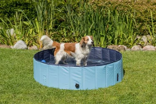 Trixie Piscine Pour Chiens 8 Trixie Piscine Pour Chiens – Image 6