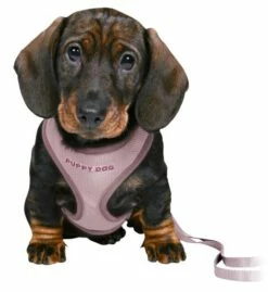 Trixie Harnais Rembourré Avec Branche Pour Chiots Lilas 13 Trixie Harnais Rembourré Avec Branche Pour Chiots Lilas -Miscota Soldes Boutique PHO PRO DOG CLIP 15564 1 g