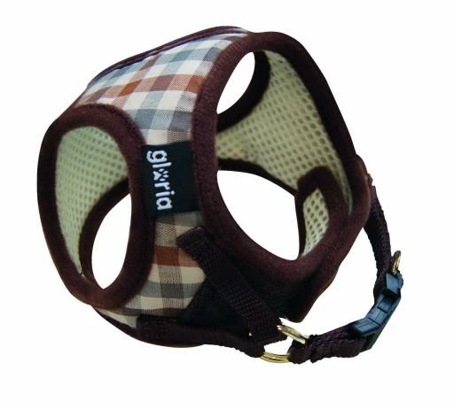 Gloria Pets Arné / Robe Vérifiée 3 Gloria Pets Arné / Robe Vérifiée