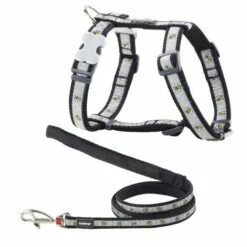 Red Dingo Gris De Style Pétral