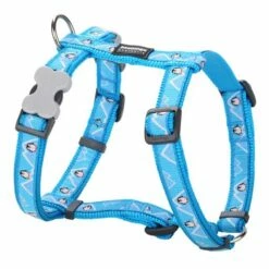 Red Dingo Penguins Bleus De Style Petral