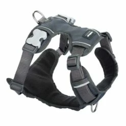 Red Dingo Huile Rembourrée Grise