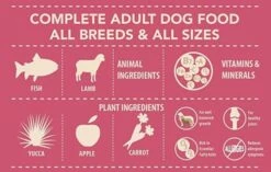 Panzi Puppy Junior Lamb, Apple And Rice -Miscota Soldes Boutique Puppy Junior Cordero Manzana y Arroz 635690c0596fc g