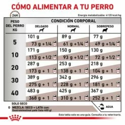 Royal Canin Nourriture Gastro-intestinal 25 Canine -Miscota Soldes Boutique RACIONAMIENTO 62fcc15d62a96 g