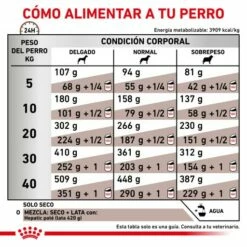 Royal Canin Nourriture Hepatic HF16 Canine 17 Royal Canin Nourriture Hepatic HF16 Canine -Miscota Soldes Boutique RACIONAMIENTO 62fcc186e4232 g