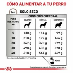 Royal Canin Nourriture Fibre Response Canine -Miscota Soldes Boutique RACIONAMIENTO 62fcc1b28de02 g