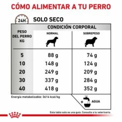Royal Canin Nourriture Gastro-intestinal Moderate Calorie 15 Royal Canin Nourriture Gastro-intestinal Moderate Calorie -Miscota Soldes Boutique RACIONAMIENTO 62fcc1f8c4158 g