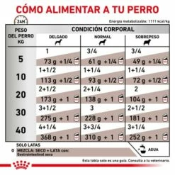 Royal Canin Nourriture Húemda Gastro-intestinal Canine 13 Royal Canin Nourriture Húemda Gastro-intestinal Canine -Miscota Soldes Boutique RACIONAMIENTO 62fcc2767ab1a g