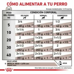 Royal Canin Nourriture Humide Hepatic Canine -Miscota Soldes Boutique RACIONAMIENTO 62fcc29f14472 g