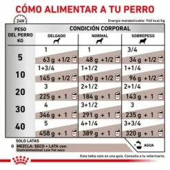 Lot 12 Royal Canin Nourriture Humide Gastro-intestinal Low Fat Canine 15 Lot 12 Royal Canin Nourriture Humide Gastro-intestinal Low Fat Canine -Miscota Soldes Boutique RACIONAMIENTO 62fcc2dbaa31e g