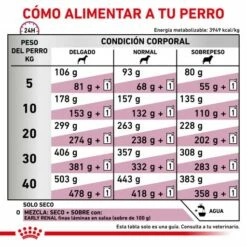 Royal Canin Early Renal -Miscota Soldes Boutique RACIONAMIENTO 62fcc9ea2f8c3 g