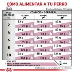 Royal Canin Renal Small Dog 19 Royal Canin Renal Small Dog -Miscota Soldes Boutique RACIONAMIENTO 62fcca7d4773f g