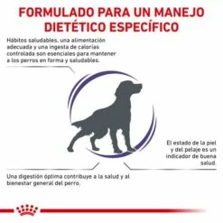 Royal Canin Nourriture Canine Vet Care Adult -Miscota Soldes Boutique RC VET DRY DogAD CV 2 es ES 62fcc36086c8d g