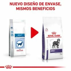 Royal Canin Nourriture Adult Large Dog -Miscota Soldes Boutique RC VET DRY DogADLD CV 1 es ES 62fcc38c1b52e g