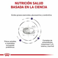 Royal Canin Nourriture Adult Large Dog -Miscota Soldes Boutique RC VET DRY DogADLD CV 3 es ES 62fcc38ea0c53 g