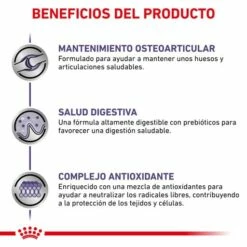 Royal Canin Nourriture Adult Large Dog -Miscota Soldes Boutique RC VET DRY DogADLD CV 4 es ES 62fcc38fcc941 g