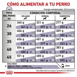 Royal Canin Nourriture Adult Large Dog -Miscota Soldes Boutique RC VET DRY DogADLD CV 6 es ES 62fcc3911985f g