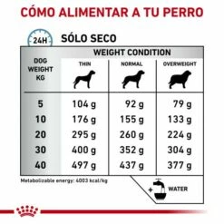 Royal Canin Nourriture Anallergenic -Miscota Soldes Boutique RC VET DRY DogAna CV Eretailkit 4 es ES 62fcbee89d989 g