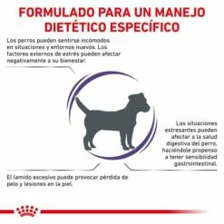 Royal Canin Calm 13 Royal Canin Calm -Miscota Soldes Boutique RC VET DRY DogCalmSD CV 2 es ES 62fcc3f066fc7 g