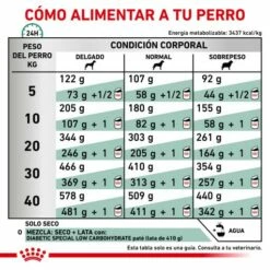 Royal Canin Nourriture Diabetic Canine 19 Royal Canin Nourriture Diabetic Canine -Miscota Soldes Boutique RC VET DRY DogDiabetic CV Eretailkit 5 es ES 62fcdee770781 g