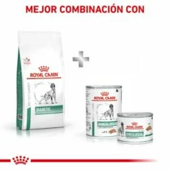 Royal Canin Nourriture Diabetic Canine 17 Royal Canin Nourriture Diabetic Canine -Miscota Soldes Boutique RC VET DRY DogDiabetic CV Eretailkit 7 es ES 62fcdee47b1b3 g