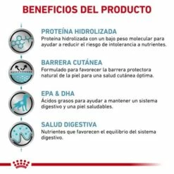 Royal Canin Nourriture Hypoallergenic DR21 Canine 16 Royal Canin Nourriture Hypoallergenic DR21 Canine -Miscota Soldes Boutique RC VET DRY DogHypo CV Eretailkit 3 es ES 62fcbf12e0120 g