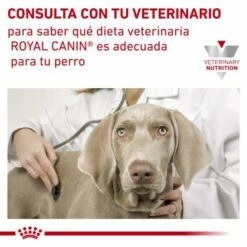 Royal Canin Nourriture Hypoallergenic DR21 Canine 20 Royal Canin Nourriture Hypoallergenic DR21 Canine -Miscota Soldes Boutique RC VET DRY DogHypo CV Eretailkit 7 es ES 62fcbf198e7f4 g