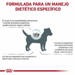 Royal Canin Nourriture Hypoallergenic Small Dog 24 -Miscota Soldes Boutique RC VET DRY DogHypoSD CV Eretailkit 9 es ES 62fcbf807c621 g