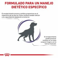 Royal Canin Nourriture Senior Consult Mature Dog -Miscota Soldes Boutique RC VET DRY DogMatCons CV 2 es ES 62fcc466a7231 g