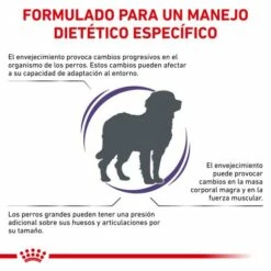 Royal Canin Nourriture Senior Consult Mature Large Dog -Miscota Soldes Boutique RC VET DRY DogMatConsLD CV 2 es ES 62fcc48caadb7 g