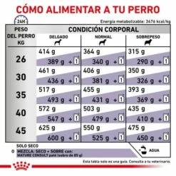 Royal Canin Nourriture Senior Consult Mature Large Dog -Miscota Soldes Boutique RC VET DRY DogMatConsLD CV 6 es ES 62fcc49044352 g